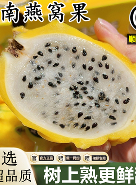 正宗海南燕窝果新鲜麒麟果5斤应当季水果特大白心黄色火龙果整箱