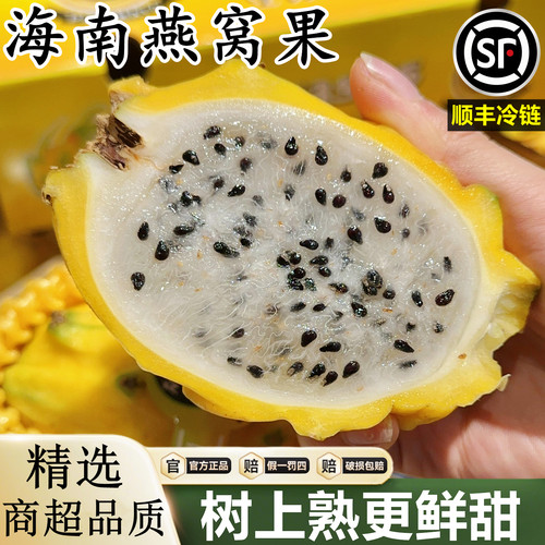 【海南燕窝果新鲜】已上热销榜！