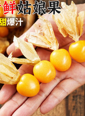 【东北新鲜姑娘果】已上热销榜！