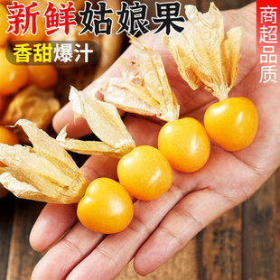 正宗东北姑娘果新鲜黄灯笼果5斤特大果菇娘果鲜果应当季水果整箱