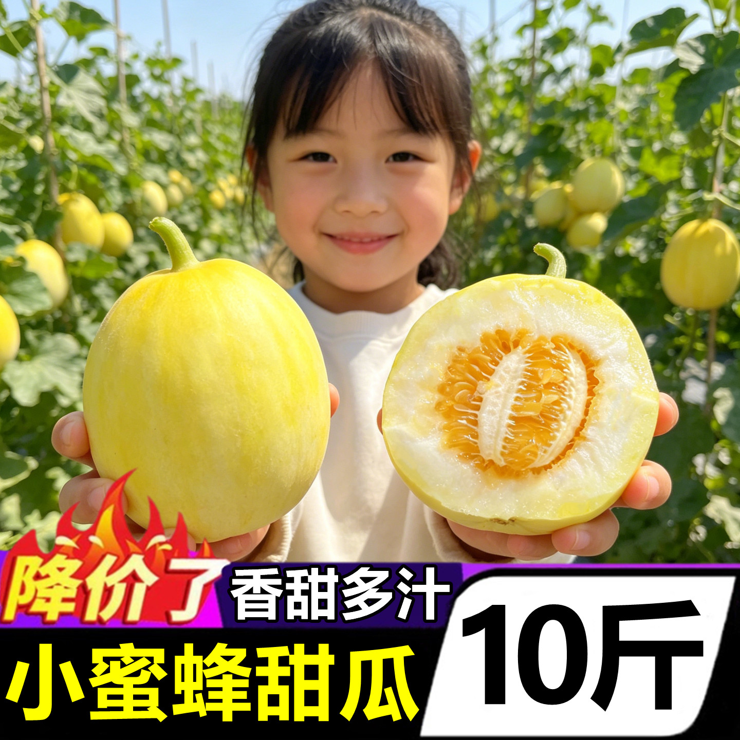 正宗山东头茬小蜜蜂甜瓜10斤当季时令新鲜水果小蜜罐黄金香瓜整箱