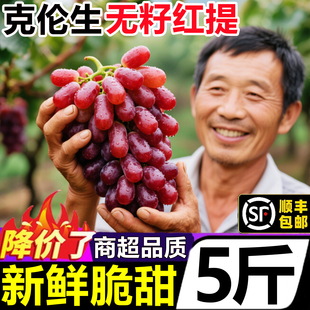 四川大凉山克伦生无籽红提孕妇水果新鲜当季 10斤脆甜无籽葡萄整箱