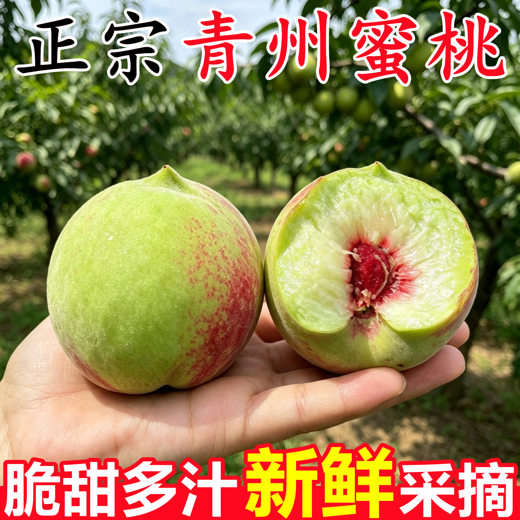 【正宗山东青州蜜桃】已上热销榜