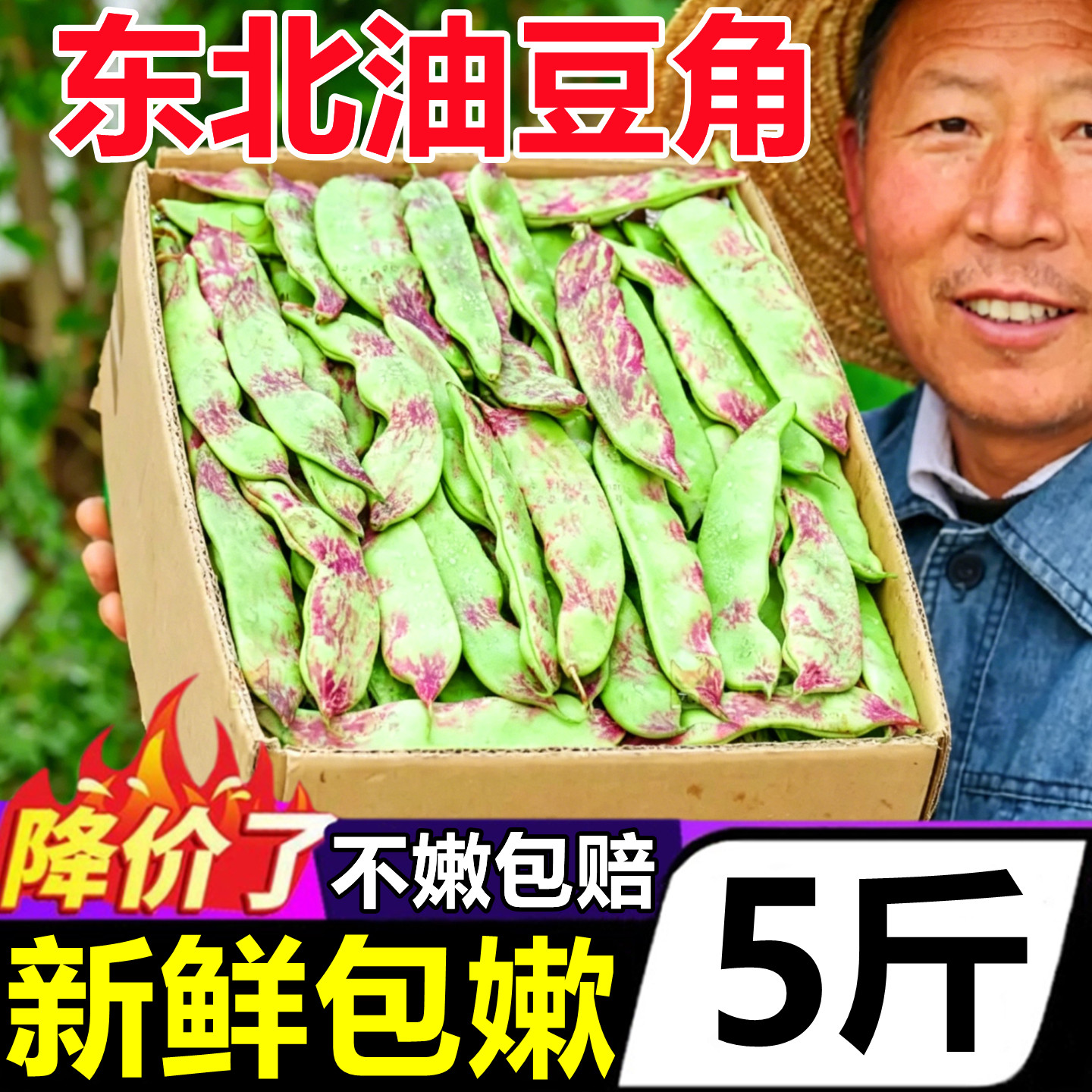 正宗东北油豆角新鲜5斤现采摘一点红油豆角当季蔬菜九月青架豆王