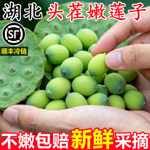 【湖北新鲜莲子莲蓬】官方推荐！