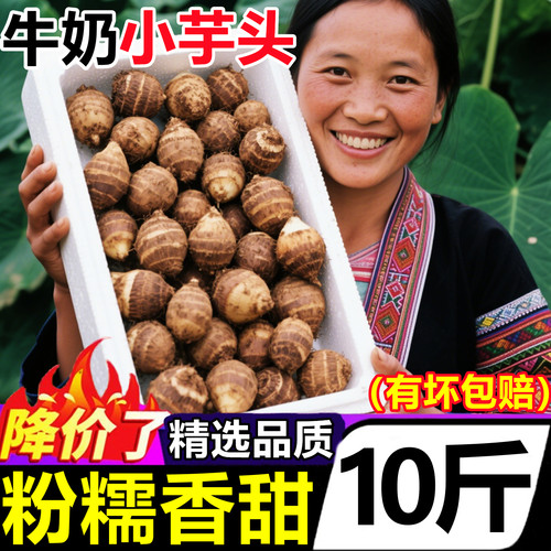 云南牛奶小芋头新鲜9斤批发