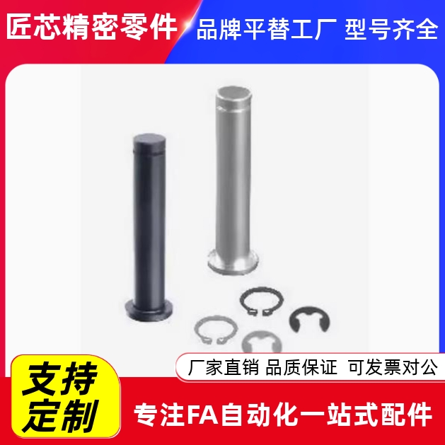 带肩铰链销挡圈固定型MIC