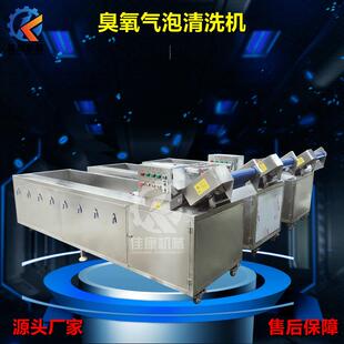 山东全自动藤菜紫果菜气泡清洗机茼蒿喷淋式臭氧气泡清洗设备