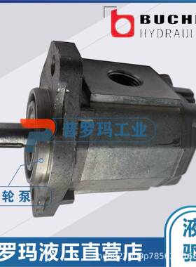 BUCHER齿轮泵AP100/1.2/1.7/2.5/3.5/4.3/5/6.5/8D319S油泵
