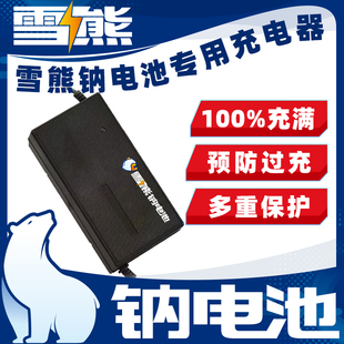雪熊钠离子电池充电器电动车充电器12v24v36v48v60v72v各种容量