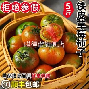 丹东盐碱地铁皮柿子草莓柿子绿腚碱地油柿子铁皮西红柿水果番茄