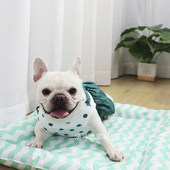 法斗夏季 裙子公主裙斗牛犬衣服巴哥犬狗狗裙子夏天吊带裙蓬蓬裙胖