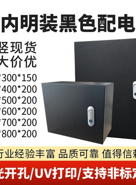 室内明装黑色配电箱电表箱家用定制回路加厚横内外门控制箱基业箱
