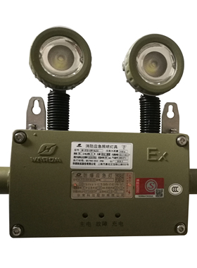 华荣(WAROM)HR-ZFZD-E6W 防爆应急灯 1套