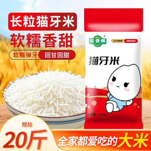 农家自产正宗猫牙米新米长粒香米猫牙优质大米现磨现发