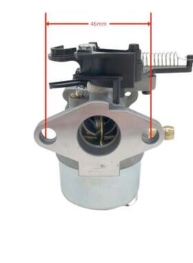 化油器591852 B1591852 793493, 793463 ,FSC30-0103  808-007