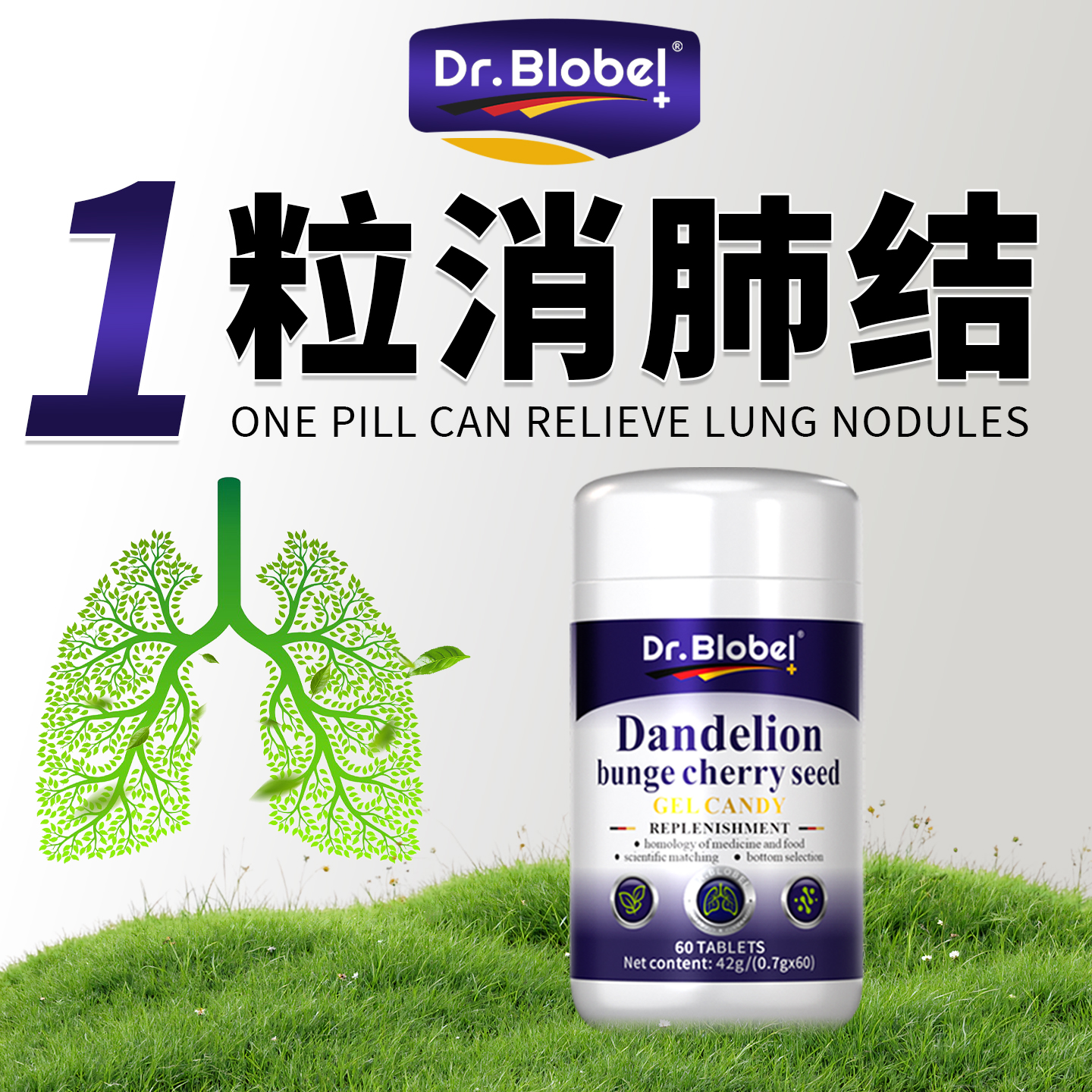 德国进口清肺散结节丸肺部小去茶特效磨玻璃治疗消除药中成药胶囊