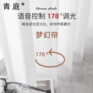 梦幻帘竖百叶纱帘客厅卧室阳台窗帘卧室遮光帘进口电动梦幻帘电机