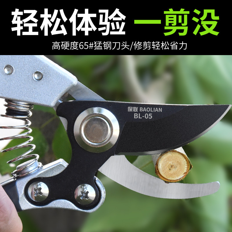 园艺剪修枝剪枝剪花剪果树剪刀园林剪树枝修花粗枝剪花艺剪子家用图片