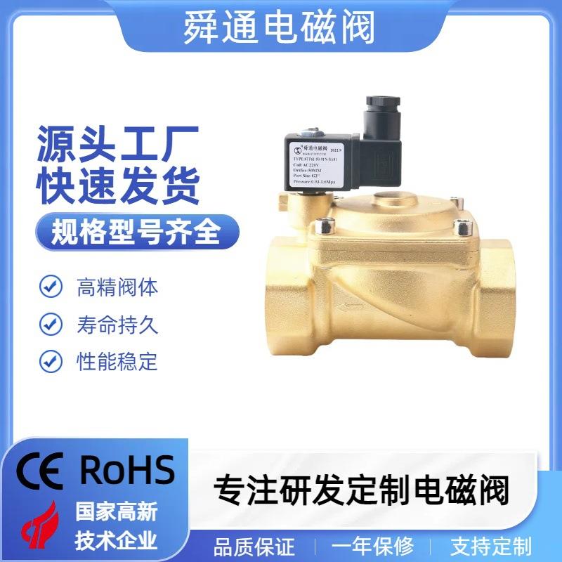 STP61先导电磁阀膜片16公斤1.6mpDN40DN50黄铜C220V电磁阀