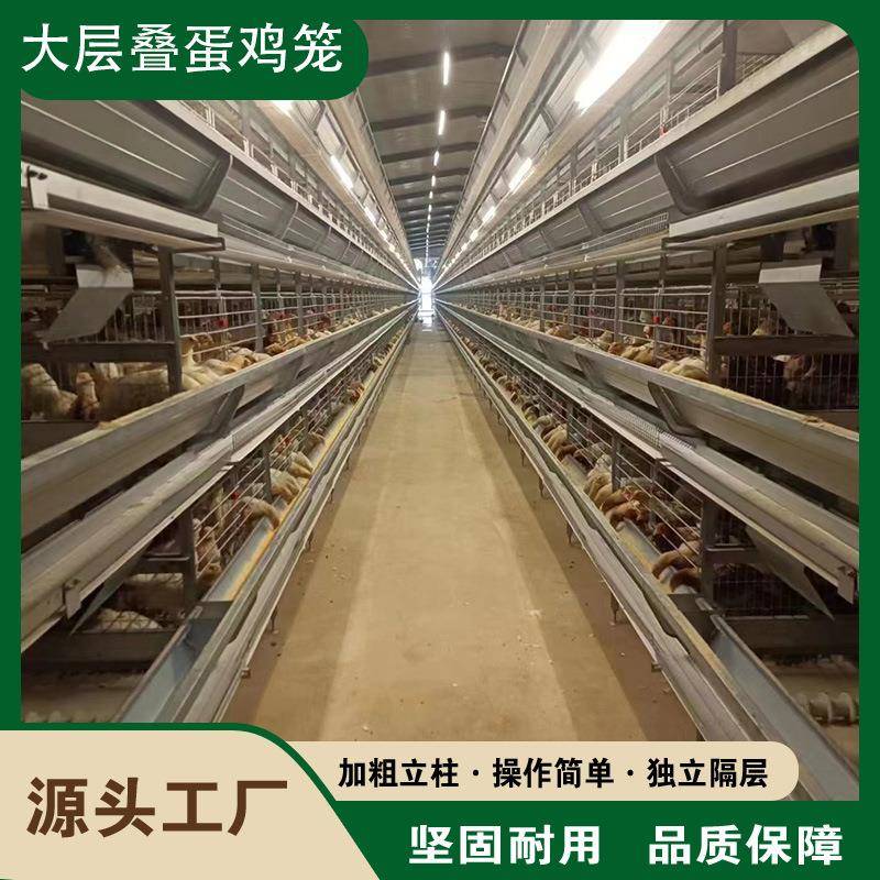 源头厂家全自动层叠蛋鸡笼层叠式鸡笼热镀锌养殖设备现货
