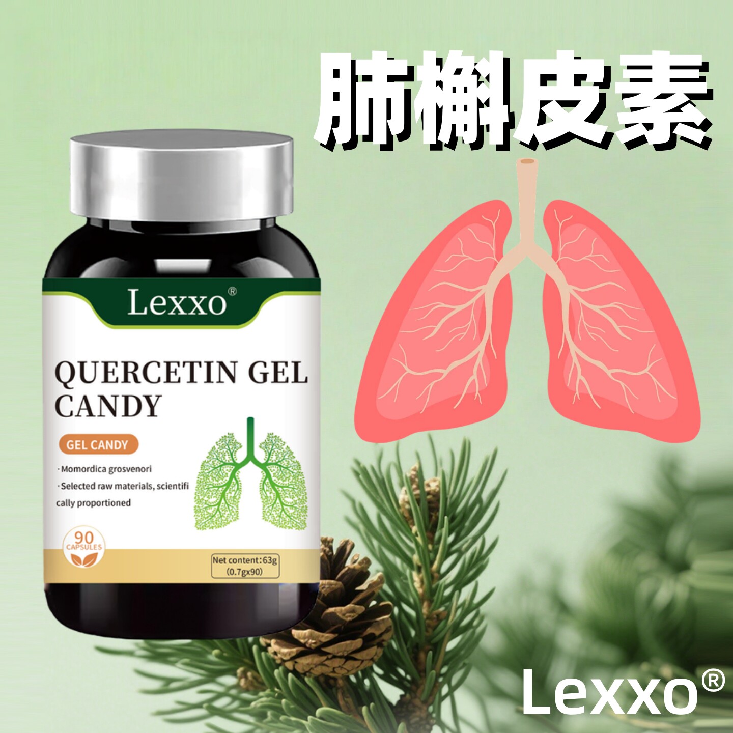 LEXXO铁皮石斛二氢槲皮素胶囊中老年灵芝黄芪罗汉果胖大海紫苏籽