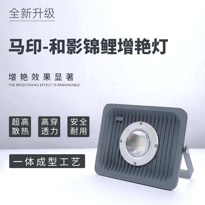 马印神灯锦鲤鱼池专用灯大型户外室外鱼缸射灯拟日光庭院防雨LED