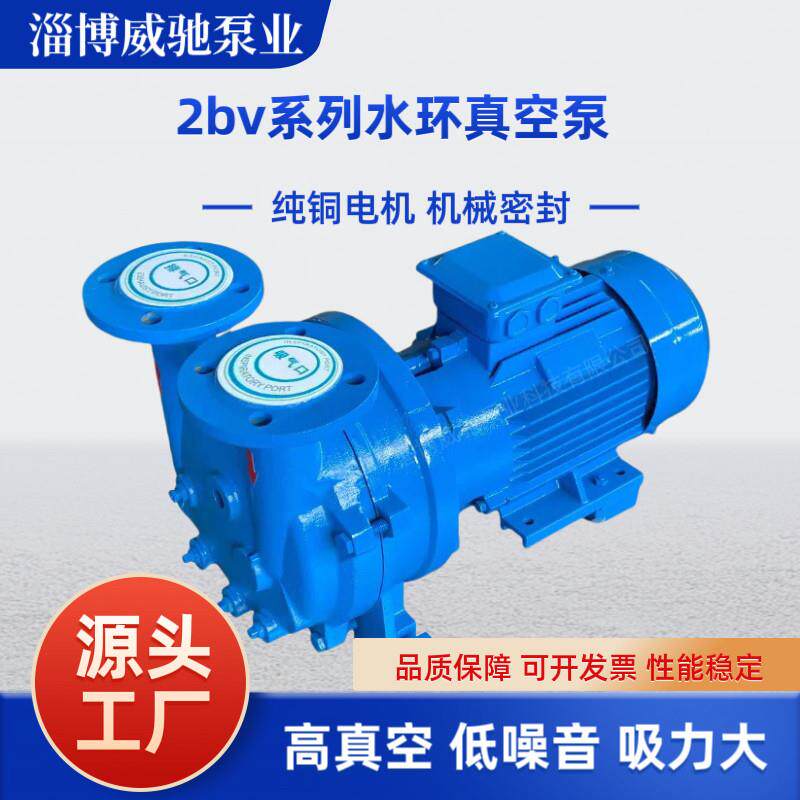 厂家直销2BV水环式真空泵工业用高真空抽气泵水循环真空泵压缩机