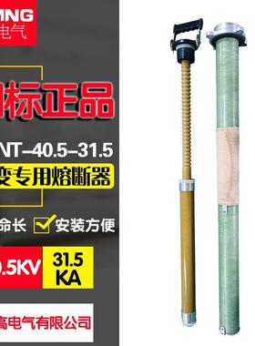 XRNT3A-40.5KV/50A-31.5光伏风电场箱变高压熔断器STR20/10-125A