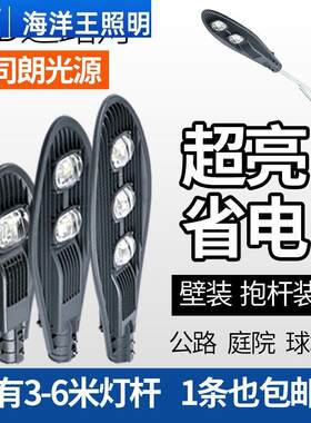 海洋王照明路灯头LED宝剑灯头挑臂抱箍新农村市政家用超亮6米电线