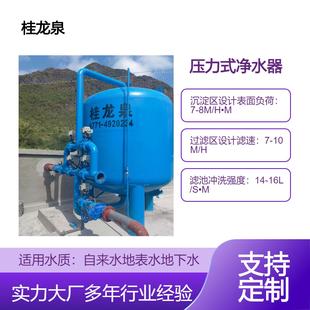 过滤设备 压力式 水处理设备 净水器 农村人饮 一体化净水设备