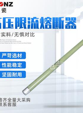 上海高瓷 高压熔断器XRNP1-40.5KV/0.5A高分段能力高压熔断器
