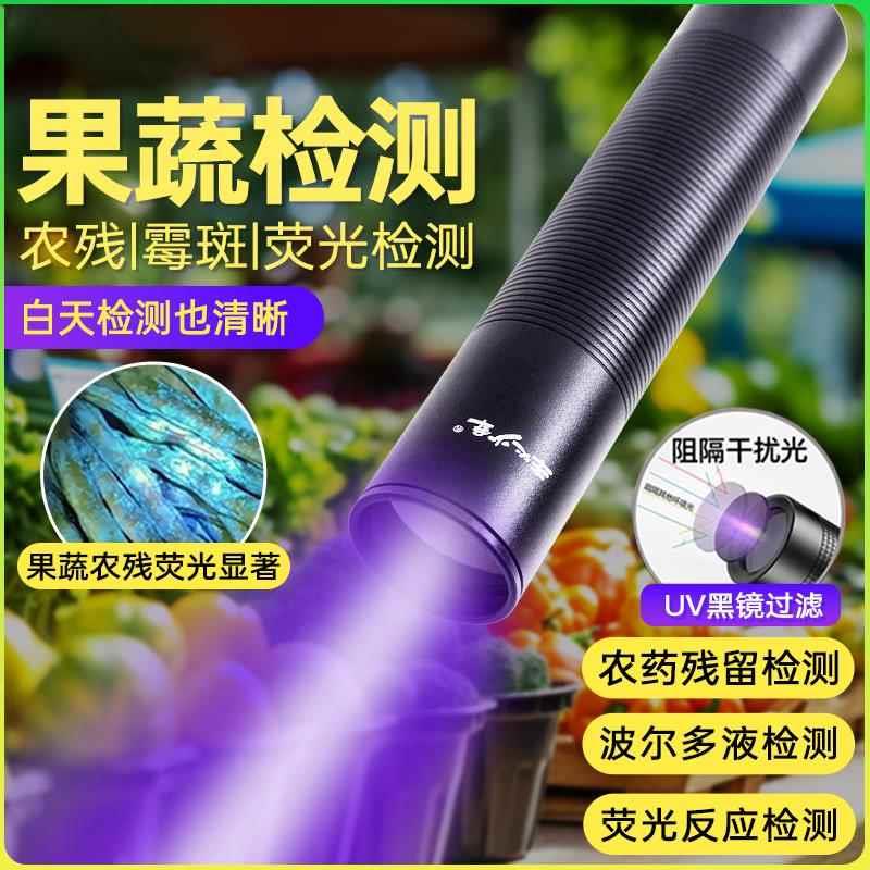 紫光灯蔬菜水果荧光剂 检测笔紫外线蓝光验钞鉴定专用365nm手电筒