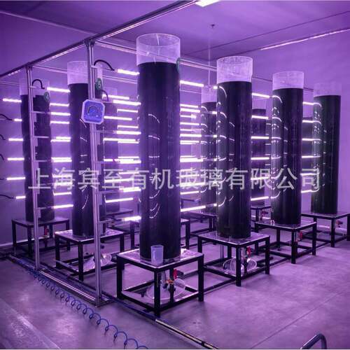 管道式光生物反应器 l螺旋藻培养 小球藻扩培 养殖场 1t 2T 3T