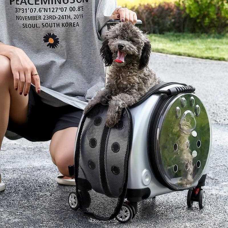 猫包外出便携宠物拉杆箱行李箱小型犬狗狗推车防应激猫咪包太空舱