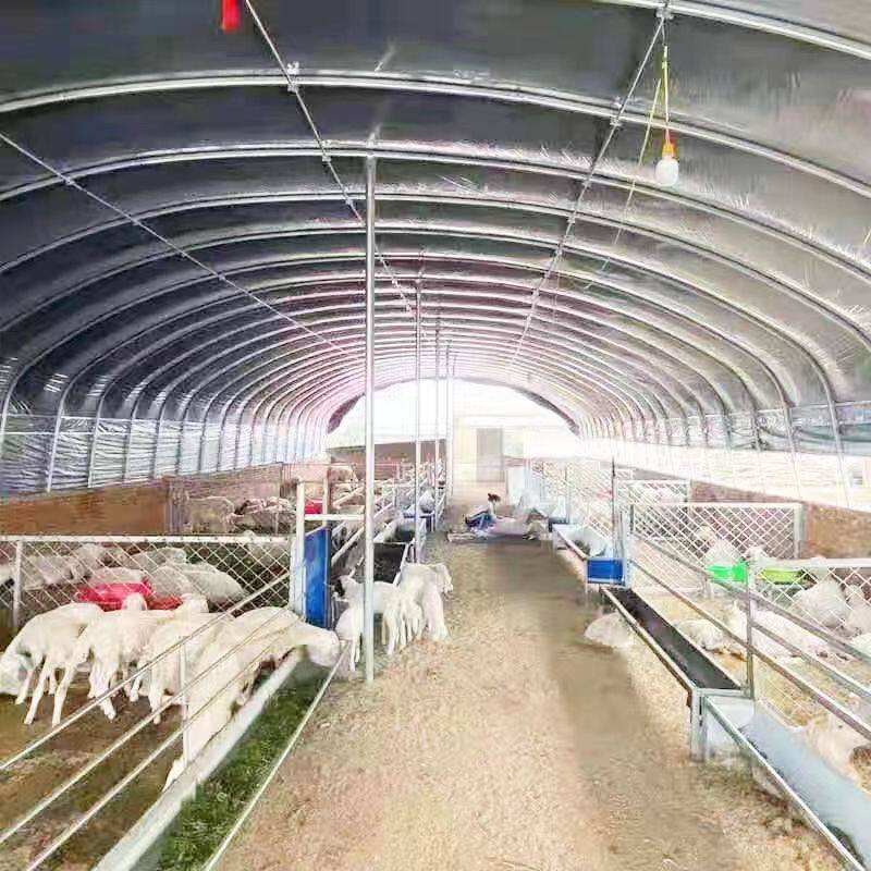 养殖大棚骨架钢管牛棚羊圈猪舍鹅兔养鸡场椭圆管温室蔬菜大棚全套