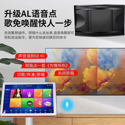 畅想国度家庭ktv音响套装点歌机触摸屏一体机卡拉ok机家用K歌全套