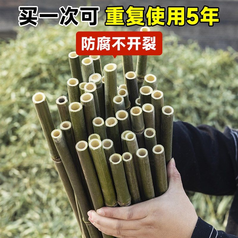 田园风格耐腐防裂竹杆2米长 适用菜园搭架爬藤架细竹竿
