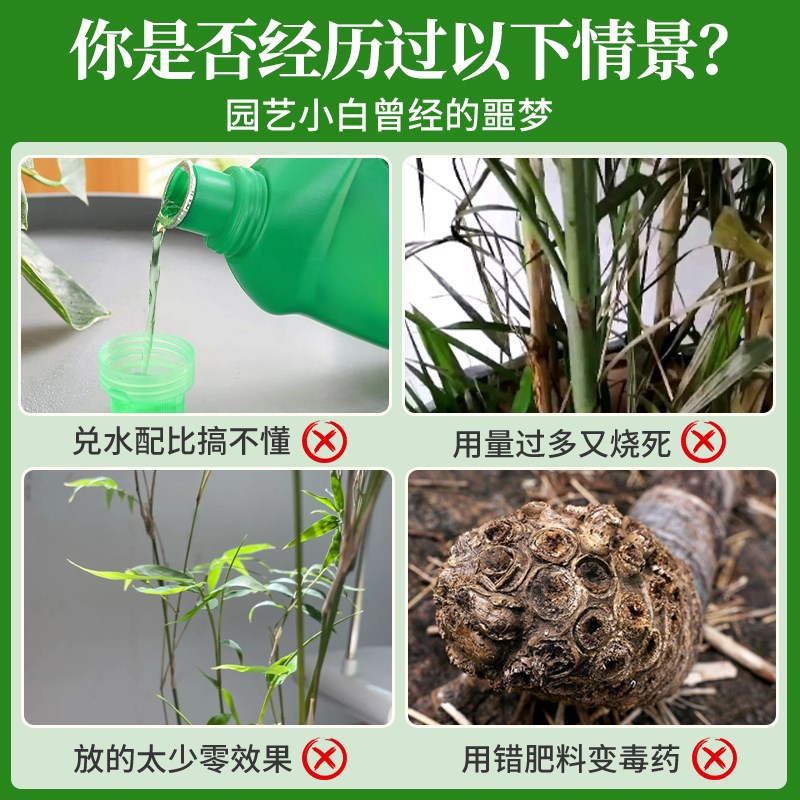 竹子营养液预防叶子发黄盆栽竹子专用肥料免稀释液体肥水溶肥