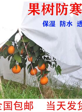 防寒布保温膜柑橘农用果园果树防水透气透光防霜防冻耐用无纺布