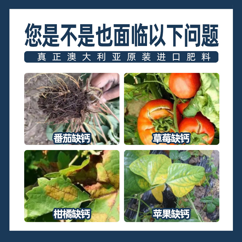 进口钙镁锌硼中量元素水溶肥料柑橘果树蔬菜通用多元素叶面肥正品