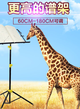 折叠谱架超轻便携式专业阅谱架古筝琴谱架简易音乐谱架子家用曲谱