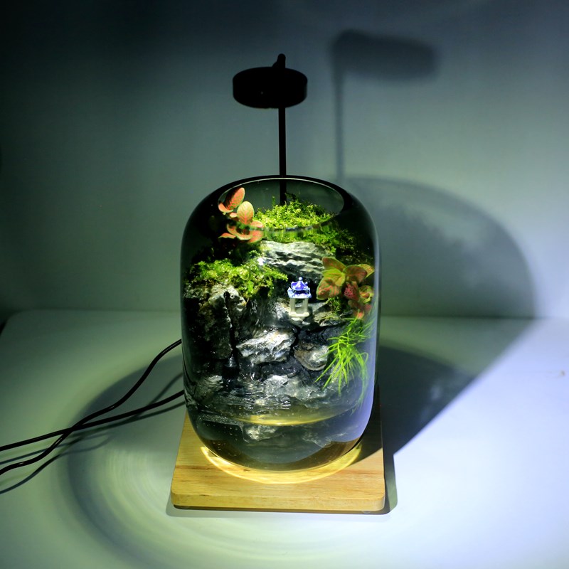 苔藓造景桌面微景观生态瓶自循环水室内植物盆栽养鱼缸生态缸摆件