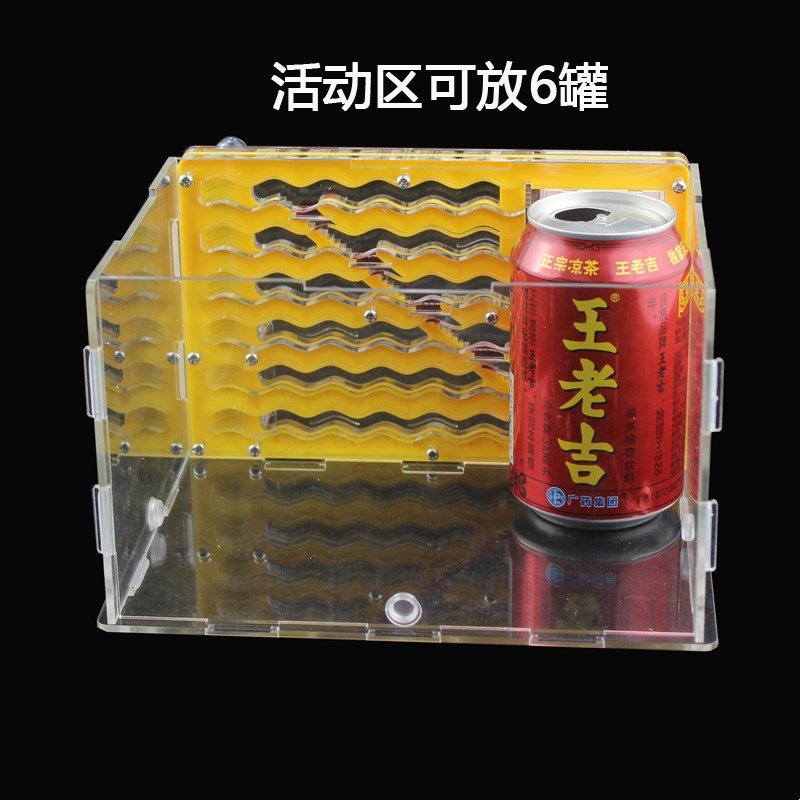 亚克力蚁巢蚂蚁工坊蚂蚁养殖箱生态蚁巢混凝土蚁巢3D打印蚁巢蚁后