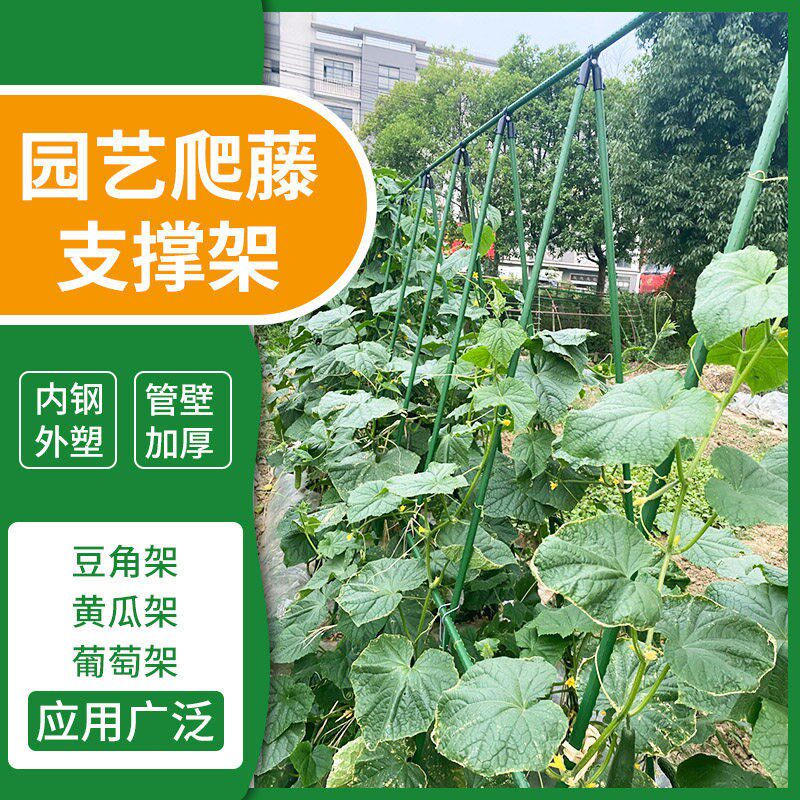 葡萄爬藤架花架包塑钢管葡萄架子庭院户外黄瓜豆角植物支撑杆种植