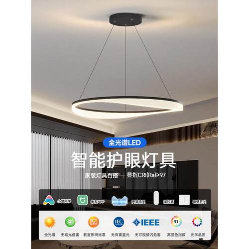 中山灯2025新款现代休闲餐厅客厅吊灯意大利极简主义灯豪华环厅主