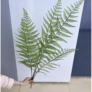 采购产品模拟马耳蕨，鳞片蕨，绿色植物蕨，蕨叶，假花，微景观植