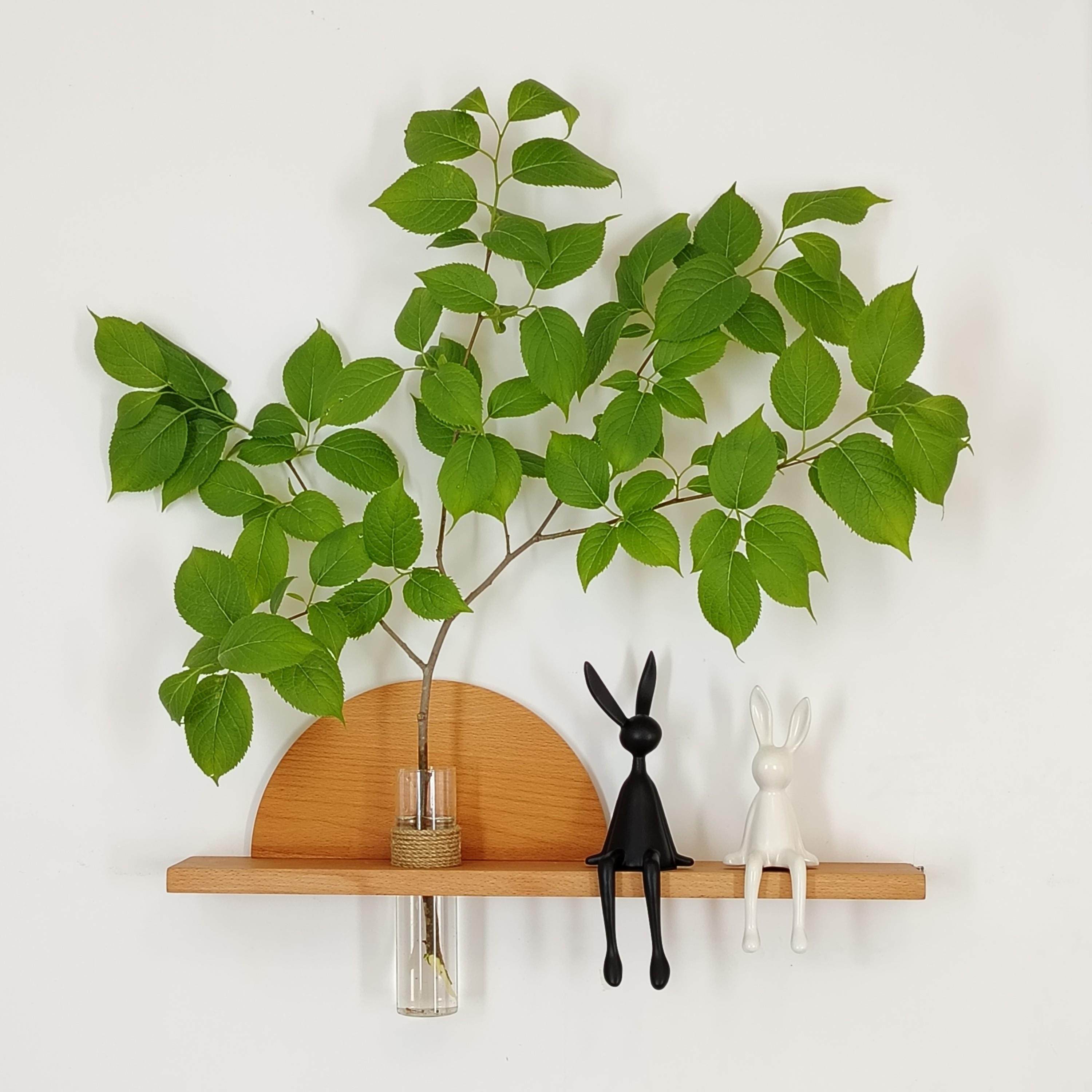 实木玄关水培绿植花瓶饭厅墙面装饰品半圆形一字板置物架花器壁挂,家居饰品,花瓶,淘宝优惠券,粉丝福利购,淘宝优惠卷