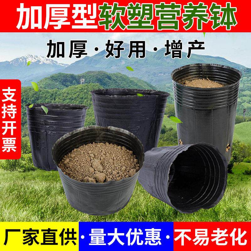 营养钵育苗杯营养袋营养杯育苗袋塑料育苗盆育苗盘花盆一次性加厚