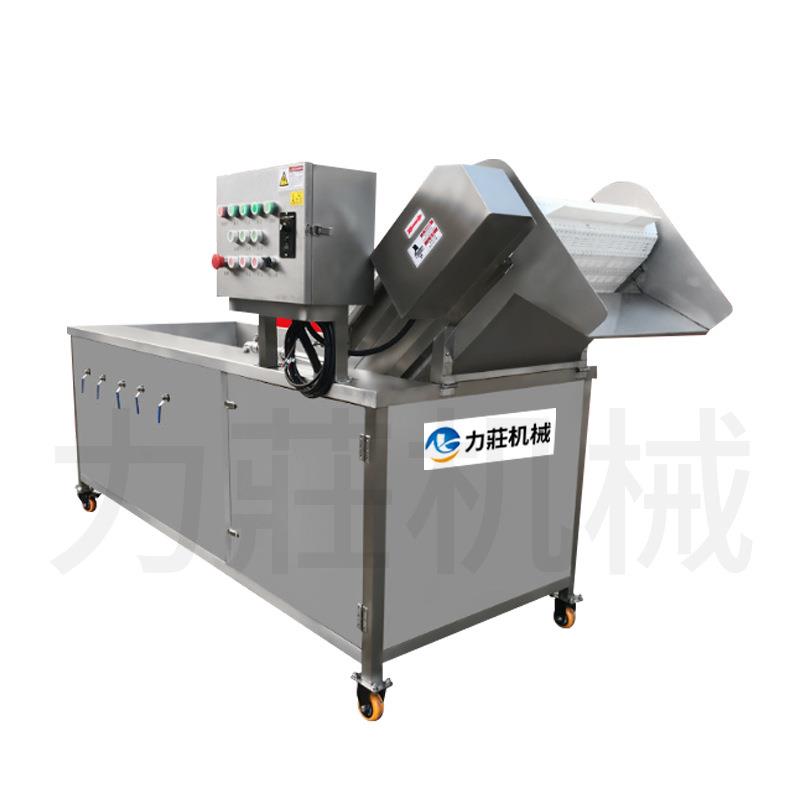 厂家生产鼓泡净化洗果机喷淋全自动多功能家用商用果蔬臭氧洗菜机